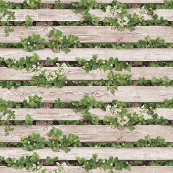 Natural 87020-1