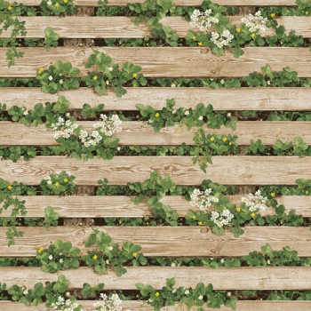 Natural 87020-2