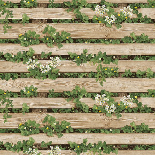 Natural 87020-2