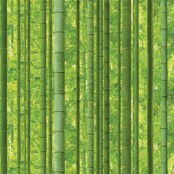 Natural 88423-1
