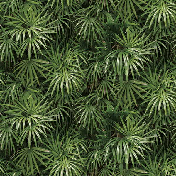 Natural 88425-2