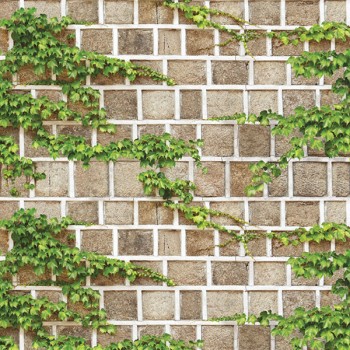 Natural 88428-1