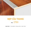 Aluminum Profile CT01