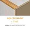 Aluminum Profile CT02