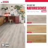 Egger 12mm Classic Laminate Flooring PL2970