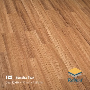 Robina 12mm T22