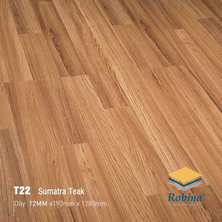 Robina 12mm T22