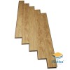 Robina 12mm BN O134