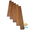 Robina 12mm BN T12
