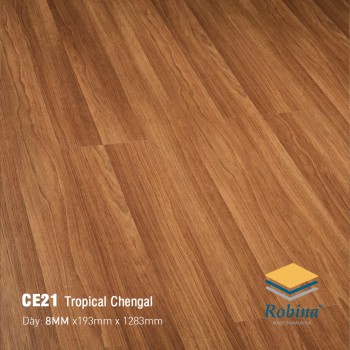 Robina 8mm CE21