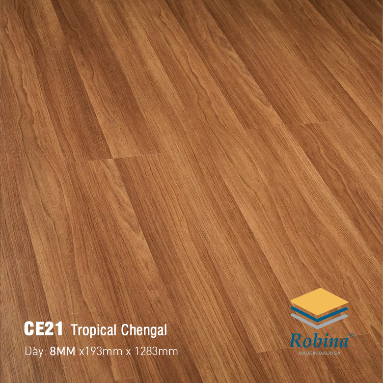 Robina 8mm CE21