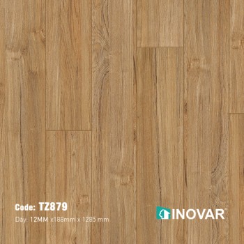 Inovar TZ879
