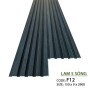 Wall Panel F12